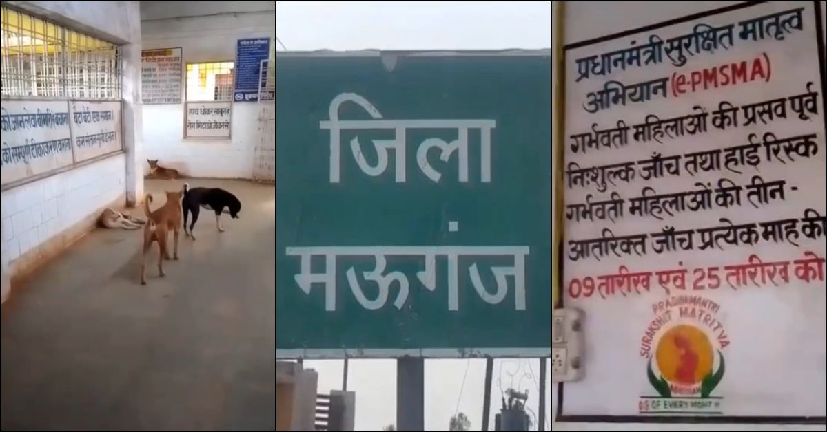 हनुमना अस्पताल में भगवान भरोसे सुरक्षा! प्रसव कक्ष के दरवाजे तक पहुंचे कुत्ते, BMO नदारद