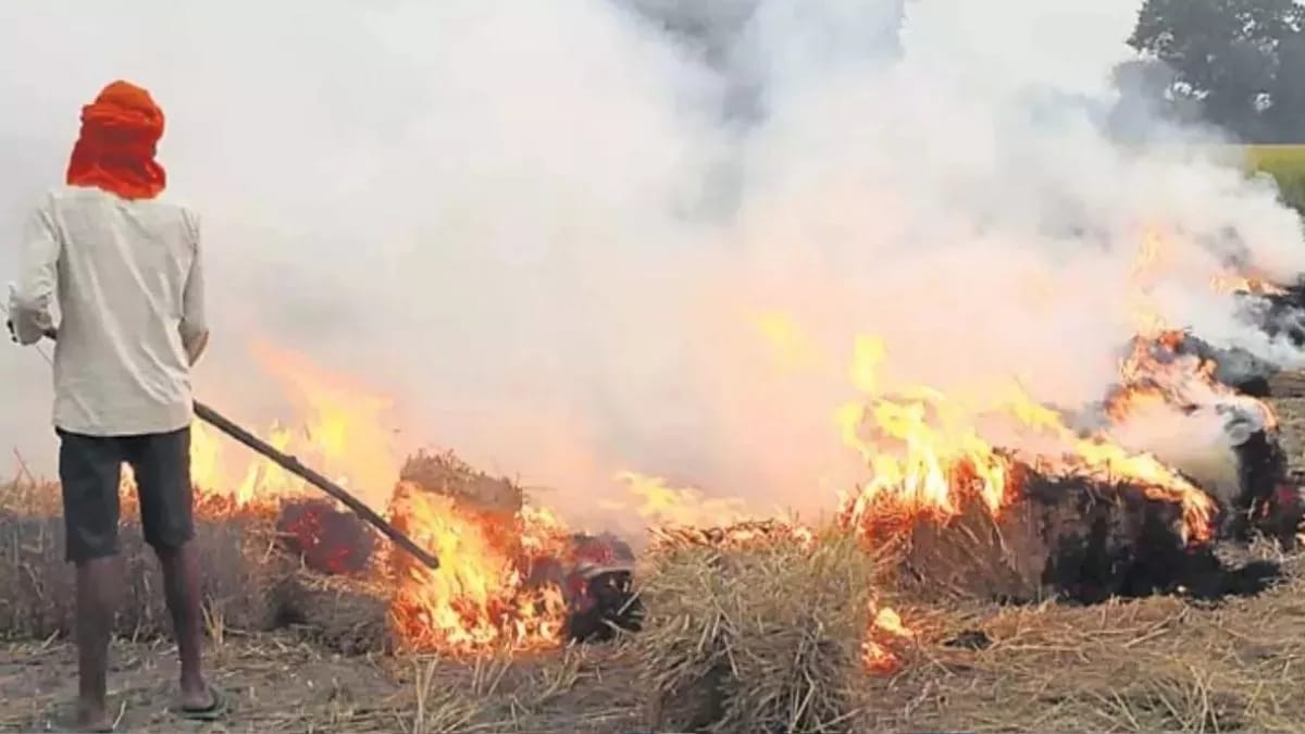 Punjab Stubble Burning: पराली जलाने वालों पर सैटेलाइट की पैनी नजर, 6 दिन में 15 मामले; अमृतसर सबसे आगे