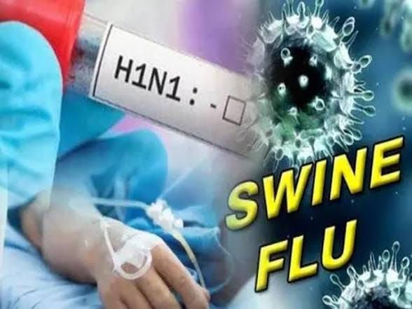 पंजाब में बढ़ा स्वाइन फ्लू का खतरा, 6 साल का बच्चा भी संक्रमित; मरीजों की संख्या 29 पहुंची
