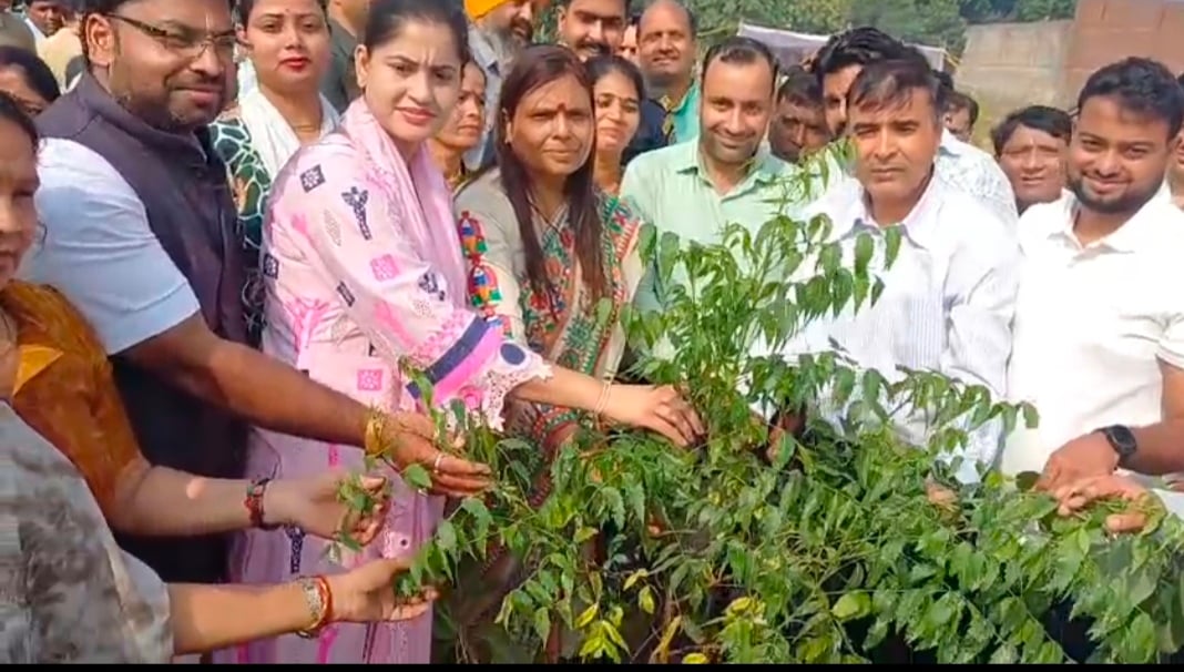 सेवा संकल्प अभियान के तहत पानीपत में 3100 पौधारोपण, जनसेवा से जुड़ने का दिया संदेश