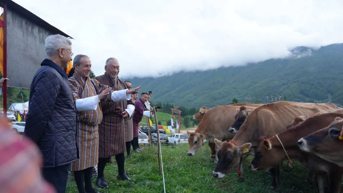भारत ने भूटान को 43 जर्सी गाय गिफ्ट कीः सोशल मीडिया पर चर्चा के केंद्र में आई, जानें एक दिन में कितना देती है दूध?