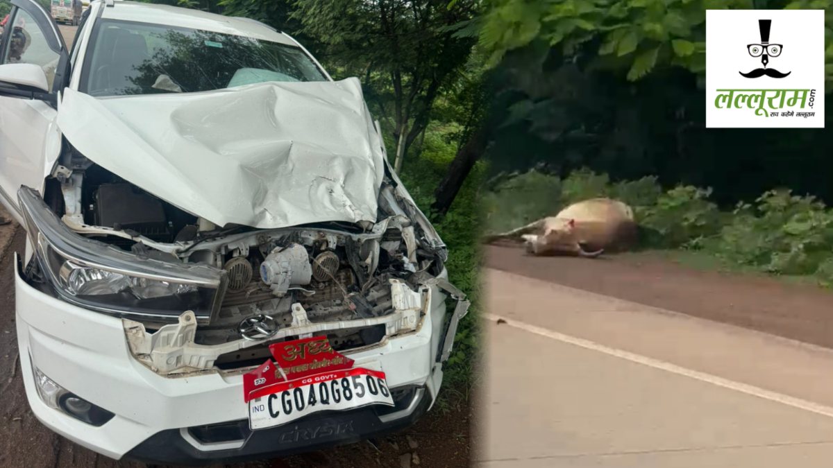 CG Accident : NH पर जिपं अध्यक्ष की कार हादसे का शिकार, अचानक सामने आई गाय से हुई टक्कर