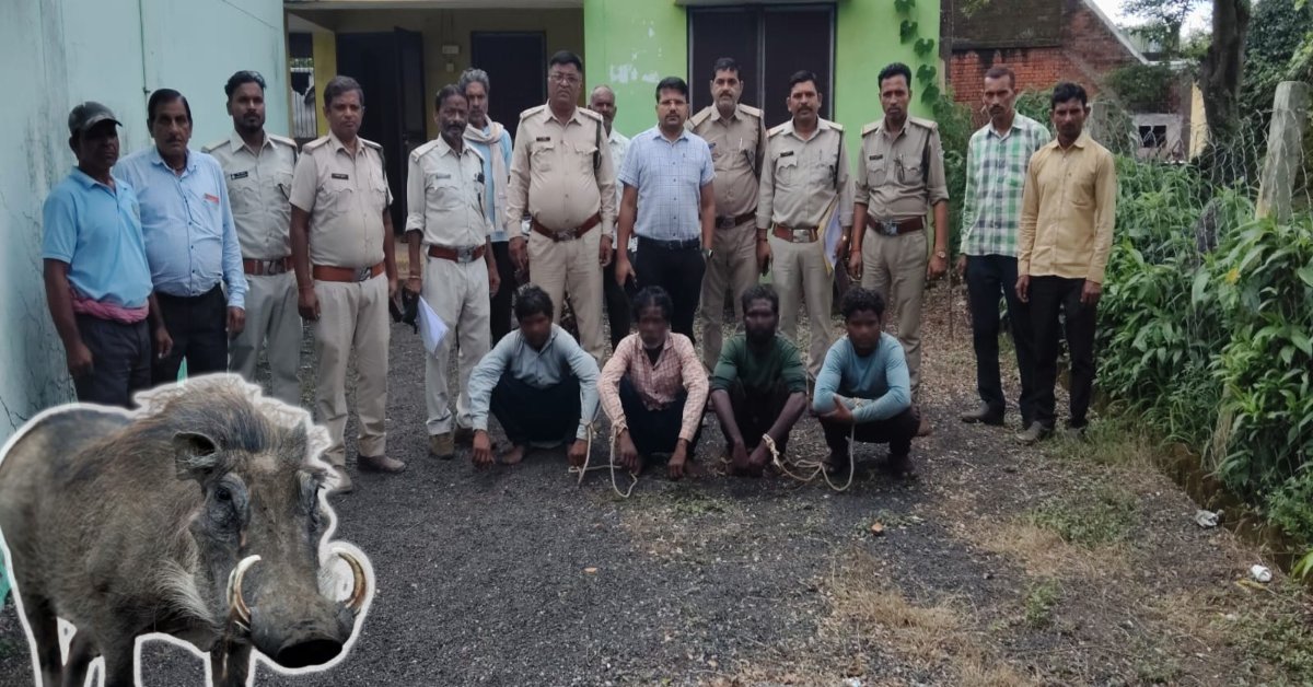 जंगल में बिछाया था क्लच वायर का फंदा! वन विभाग ने हथियारों के साथ 4 आरोपियों को दबोचा