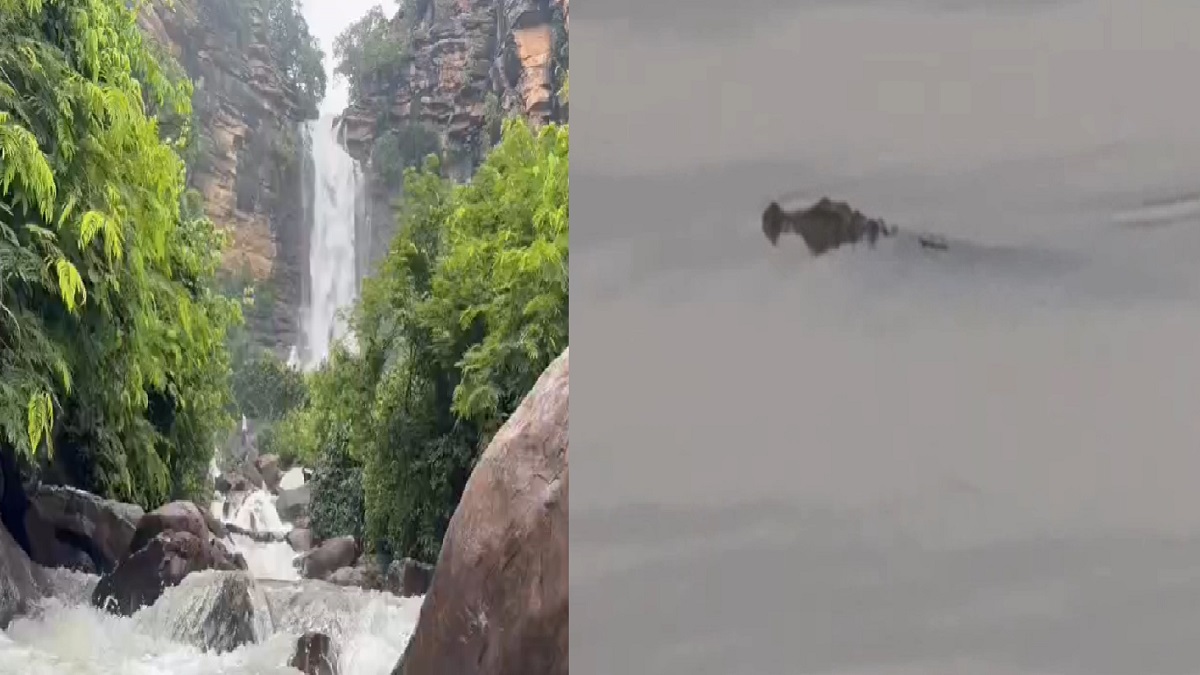 रोहतास में बारिश का कहर: उफान पर वॉटरफॉल, करमचट डैम में दिखा मगरमच्छ, प्रशासन ने जारी की चेतावनी