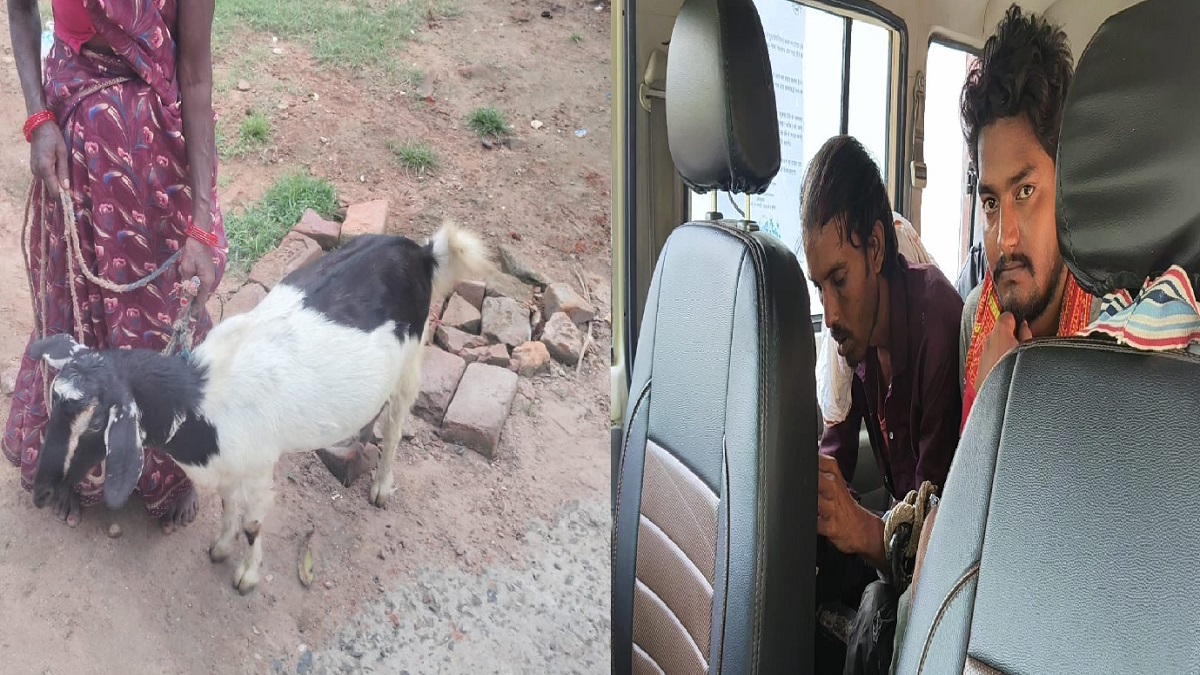 नालंदा में बकरी की चोरी करना पड़ा भारी, ग्रामीणों ने दो युवकों को पकड़कर पुलिस को सौंपा
