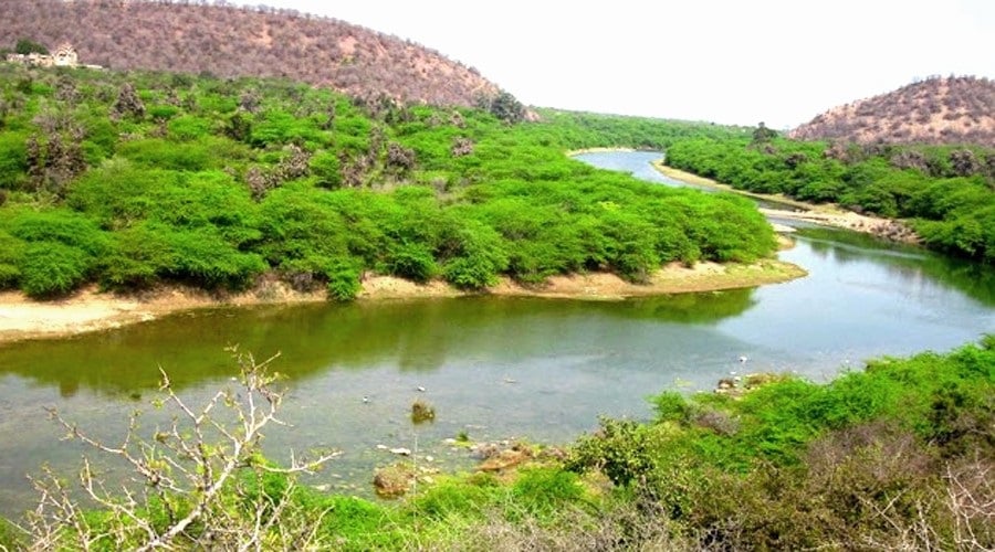 जंगल से बाहर बसेंगे 3 गांव! किसानों को जमीन के बदले जमीन, जानिए रामगढ़-विषधारी में क्या है पूरा प्लान