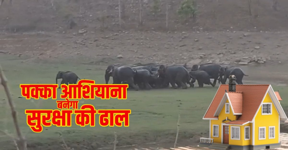 हाथियों के डर के बीच बड़ा प्लान! कच्चे मकानों को PM आवास योजना से जोड़ने की तैयारी; पक्का आशियाना बनेगा सुरक्षा की ढाल