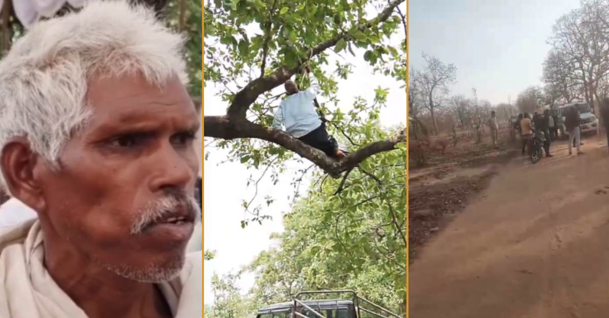 बंधा कोल ब्लॉक में विस्थापन-मुआवजे पर बवाल! सिंगरौली में पेड़ कटाई का विरोध, ग्रामीण ने फांसी लगाकर जान देने की कोशिश