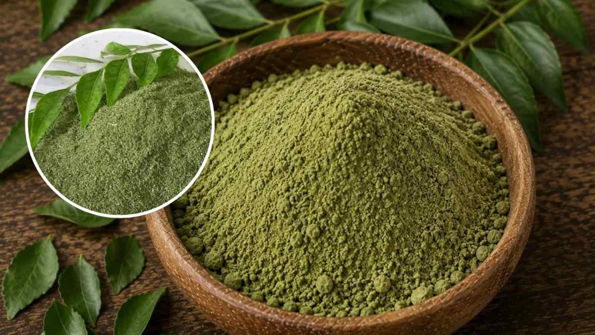 नीम-कड़ी पत्ते का पाउडर घर पर बनाएं, बालों और स्कैल्प की ऐसे करें देखभाल