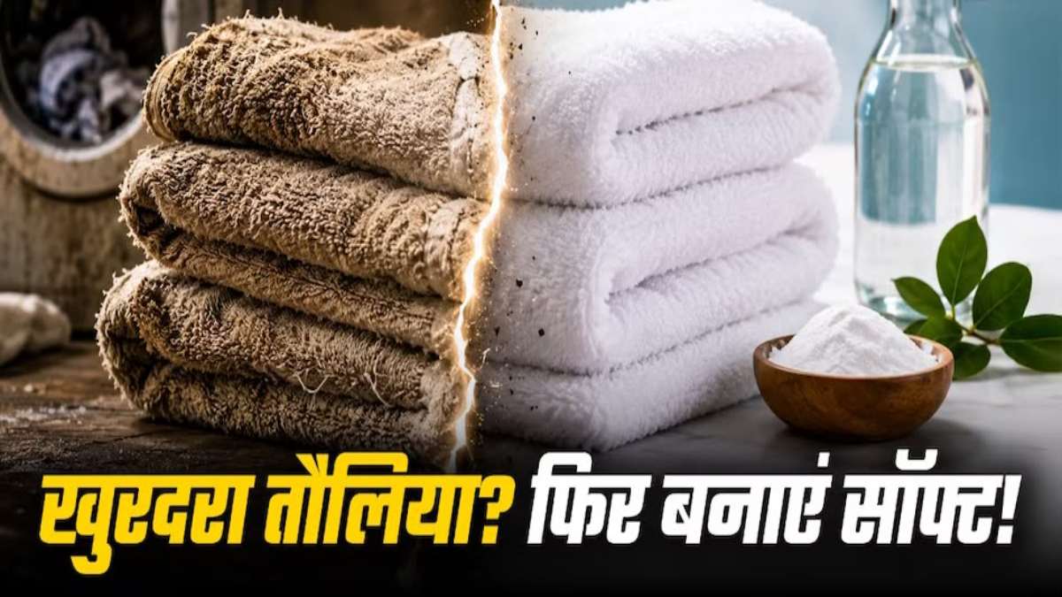 धोने के बाद तौलिया हो जाता है खुरदरा? इन आसान तरीकों से रखें उसे हमेशा सॉफ्ट