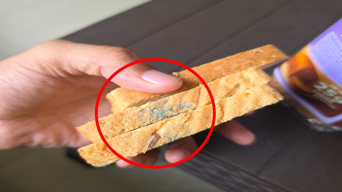 ऑनलाइन फूड आयटम मंगाने वाले सावधान ! ब्लिंकिट से मंगाई ब्रेड में मिली फफूंद, मासूम बच्चियों ने खाया