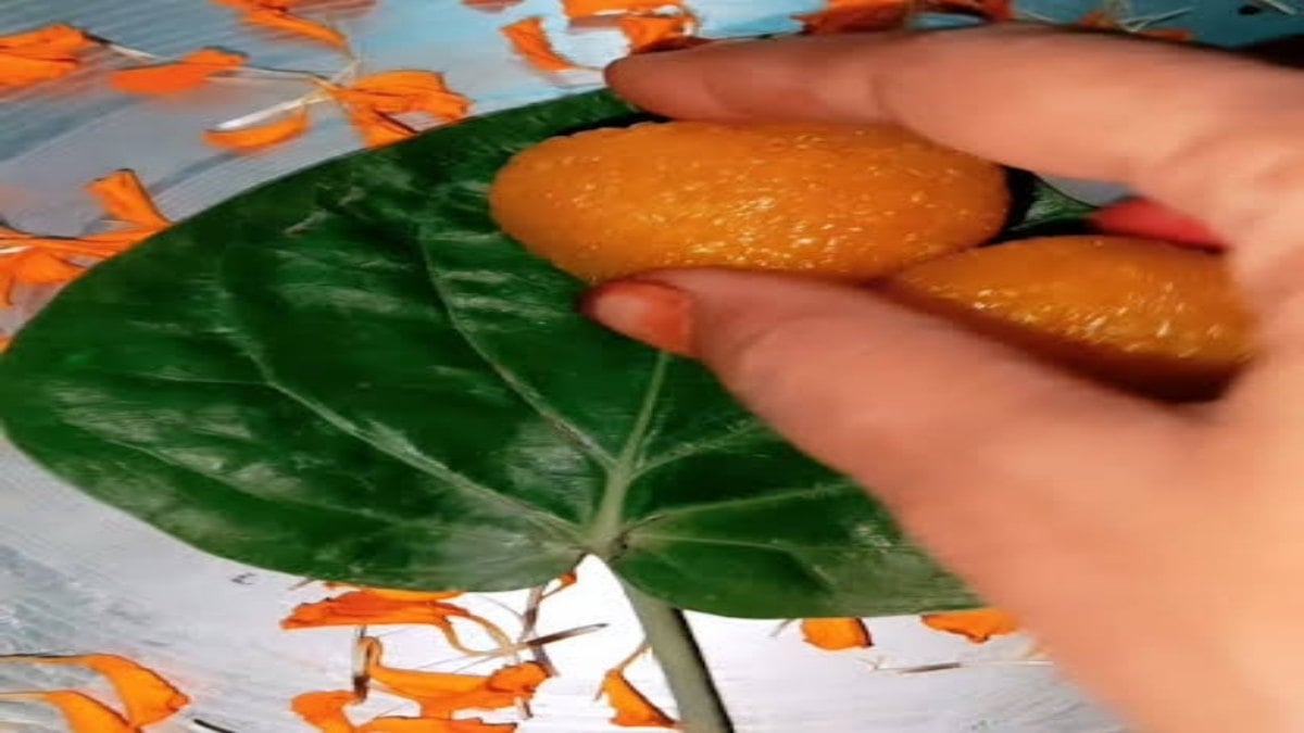 विघ्नहर्ता का महाउपाय : आज बुधवार की ढलती शाम से पहले कर लें यह काम, दूर होंगे सारे संकट!