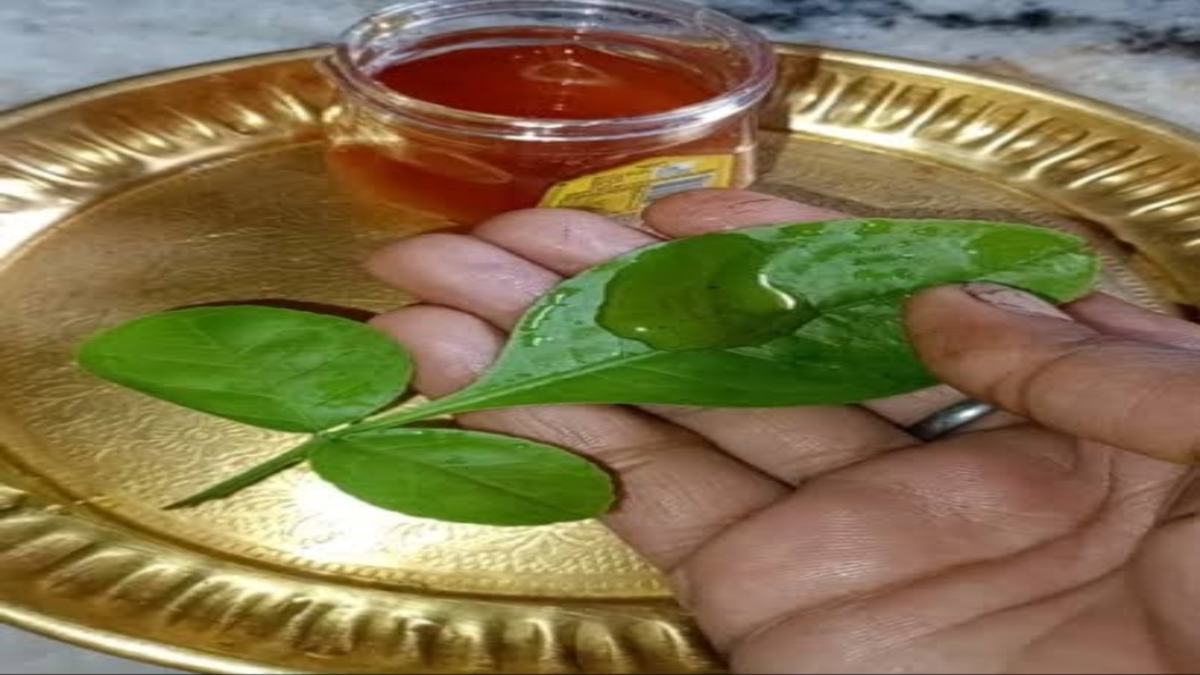 शुक्रवार से शुरू करें बेलपत्र और शहद का उपाय, शिव कृपा से घर की आर्थिक परेशानियां तुरंत होगी दूर …