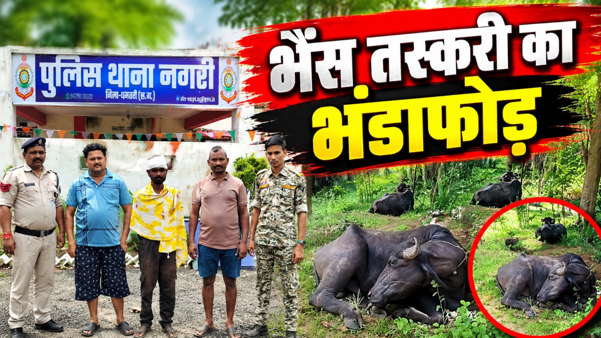 भैंस तस्करी का भंडाफोड़: मवेशियों को ले जा रहे थे कत्लखाने, लेकिन पलट गई गाड़ी