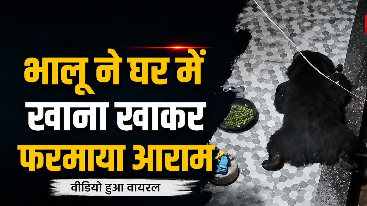 खाने की तलाश में घर में घुसा भालू, फिर फरमाने लगा आराम, वीडियो हुआ वायरल
