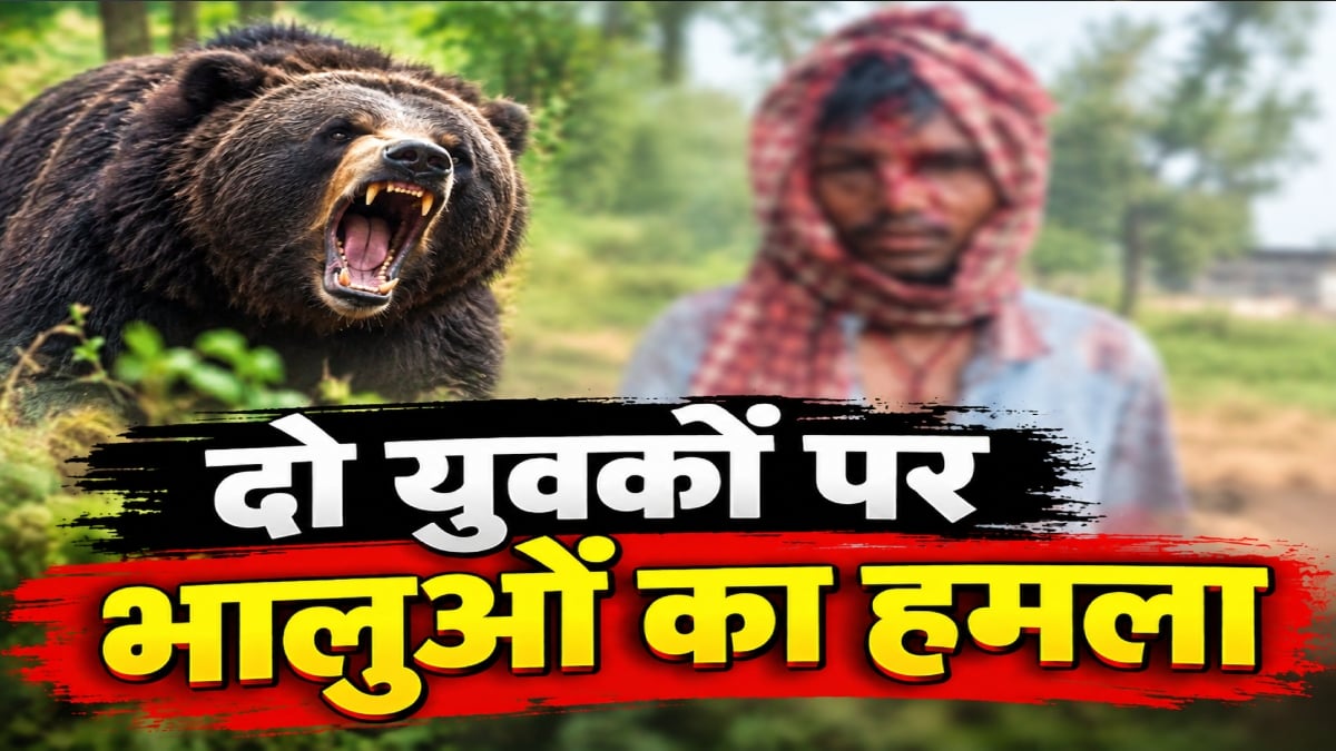 खौफनाक मंजर! दो युवकों पर 4 भालुओं ने किया हमला, बाल-बाल बची एक की जान
