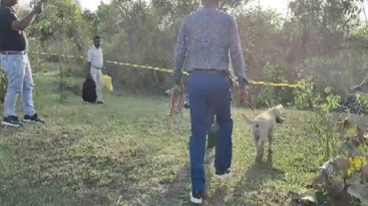 Jharkhand Crime: 36 दिन बाद जंगल में मिला लापता युवती का कंकाल, मोबाइल से खुला राज, परिजनों ने जताई हत्या की आशंका