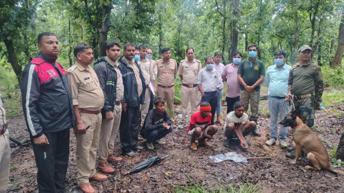 CG News: भालू की मौत के बाद काट ले गए नाखून, डॉग स्क्वॉड ने आरोपियों को पहुंचाया सलाखों के पीछे
