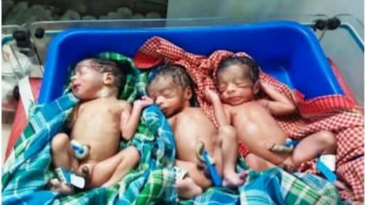 पहाड़ी कोरवा महिला ने तीन बच्चों को दिया जन्म, अस्पताल से वापस गांव आ गई थी बसंती, जानें फिर कैसी हुई डिलीवरी…