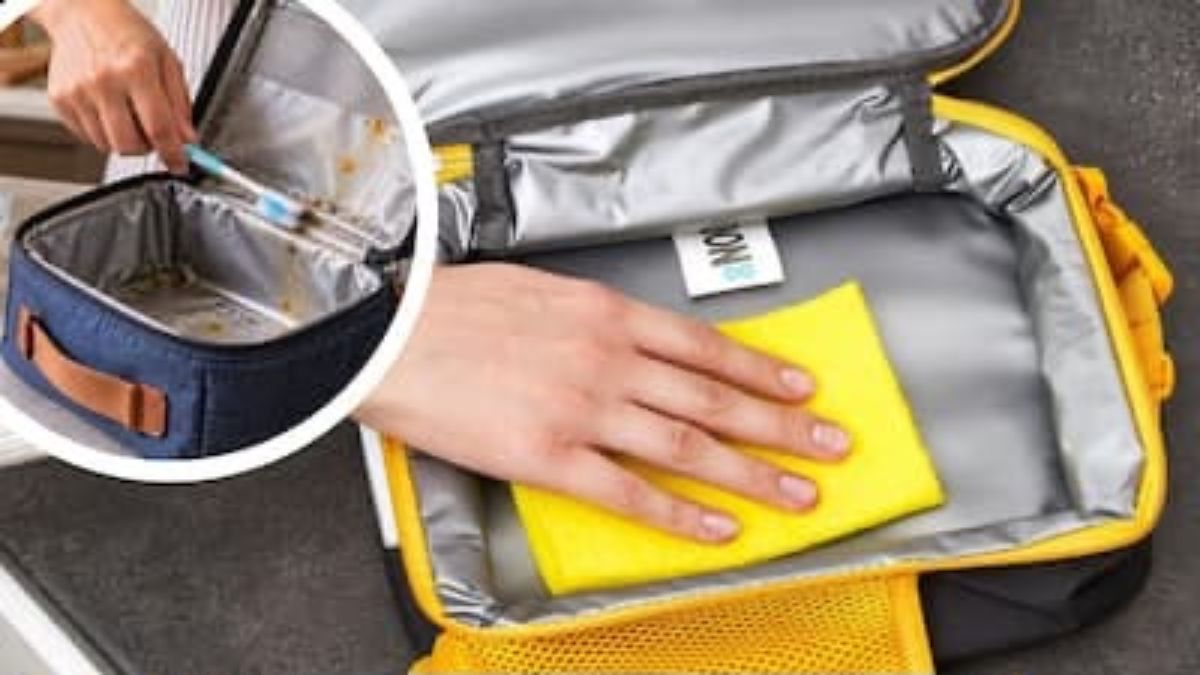 लंच बॉक्स से नहीं जा रही बदबू? मिनटों में दूर करने के ये आसान घरेलू तरीके
