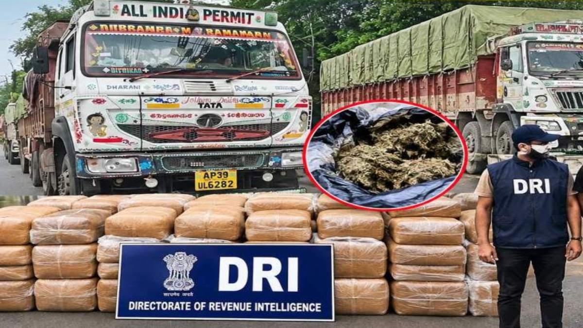 नशे के खिलाफ DRI की बड़ी कार्रवाई, पटना में टीम पर हमला, रायपुर में सबसे बड़ी जब्ती, जानिए कैस हो रही थी देशभर में गांजा तस्करी
