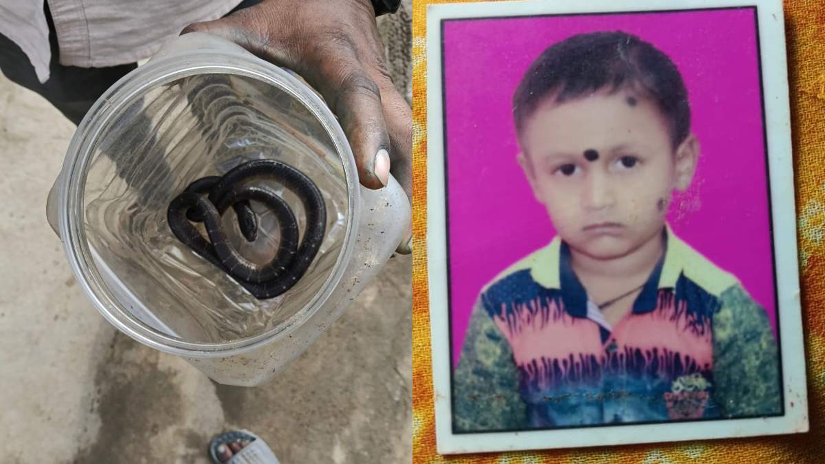 बिस्तर में छिपे सांप ने 10 साल के बच्चे को डंसा, इलाज के दौरान मौत, परिवार में पसरा मातम