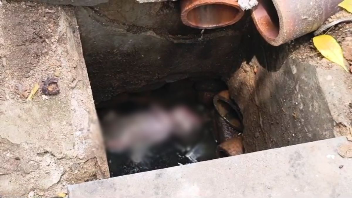 इंसानियत शर्मसार! गटर की सफाई के दौरान मिला नवजात, इलाके में मचा हड़कंप