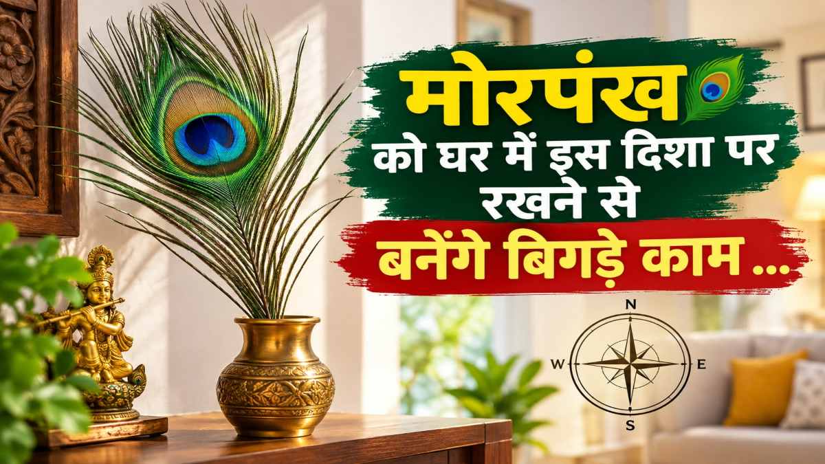 मोरपंख में है नवग्रहों की शांति और सकारात्मकता का अद्भुत संतुलन, घर में इस दिशा पर रखने से बनेंगे बिगड़े काम …