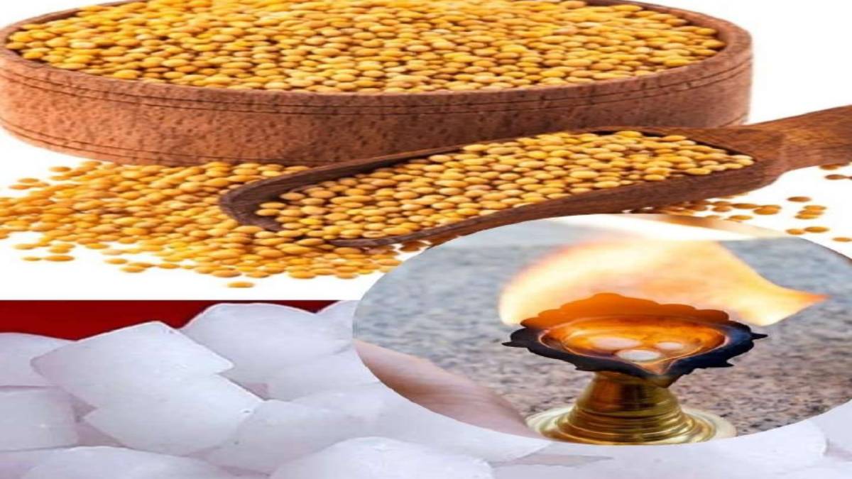 भाद्रपद अमावस्या पर शाम को करें यह उपाय, पितरों की कृपा से घर में सुख-शांति और समृद्धि का मार्ग खुलेगा …