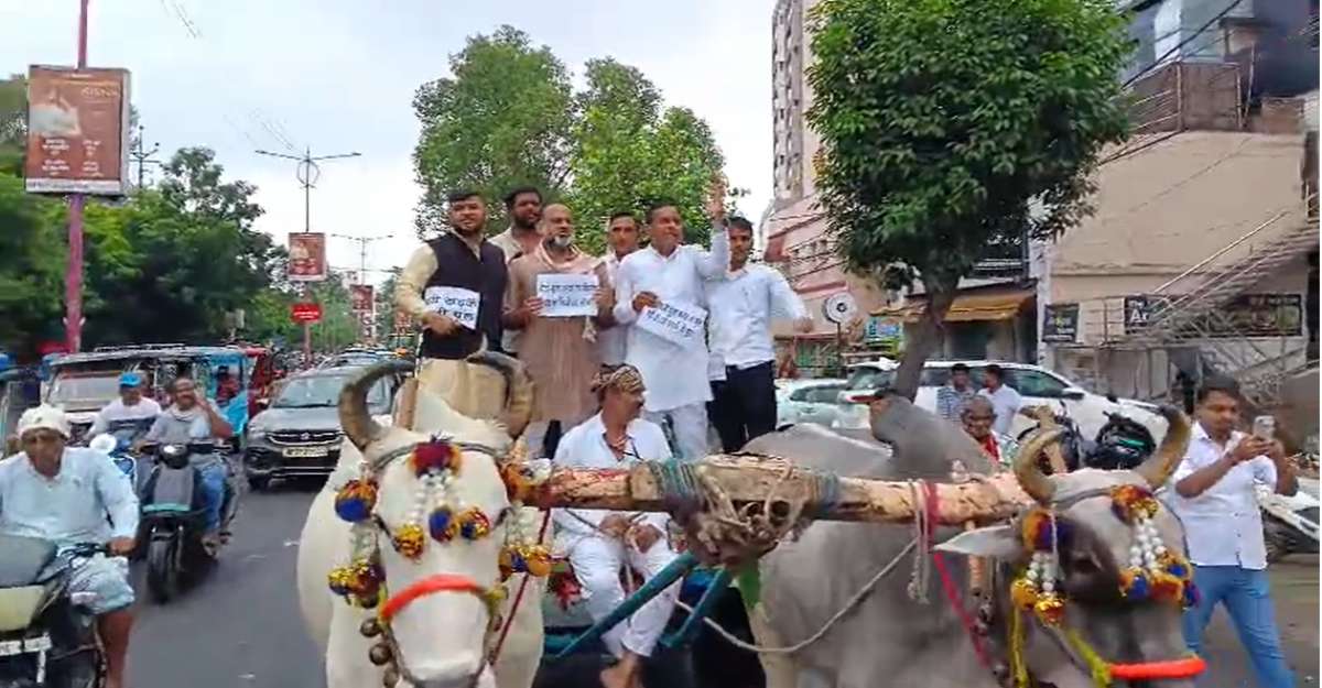 खस्ताहाल सड़कों के खिलाफ युवा कांग्रेस का प्रदर्शनः बैलगाड़ी पर यात्रा निकाल नगर निगम को दी चेतावनी