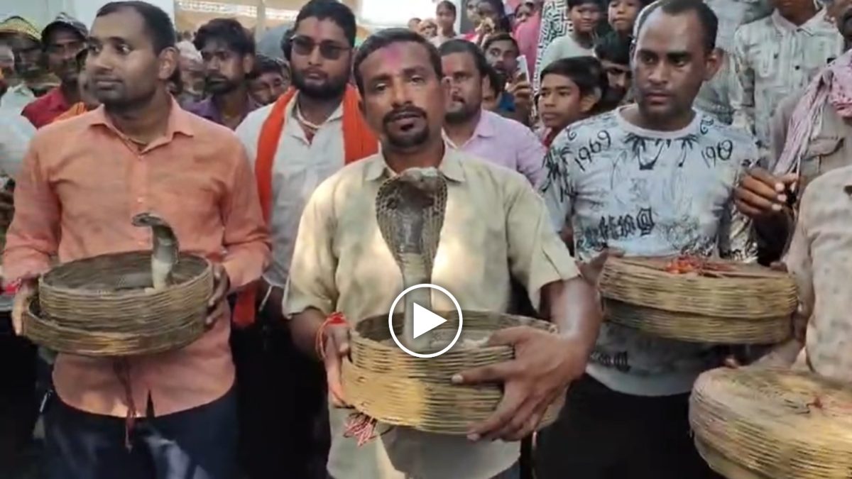 ऋषि पंचमी पर अनोखी शोभायात्रा: जहरीले सांपों के साथ निकली यात्रा, देखने उमड़ा लोगों का हुजूम, देखें वीडियो…