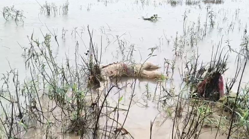 नदी में मिली अज्ञात व्यक्ति की लाश, क्षत-विक्षत हालत में बहकर आया शव, जांच में जुटी पुलिस