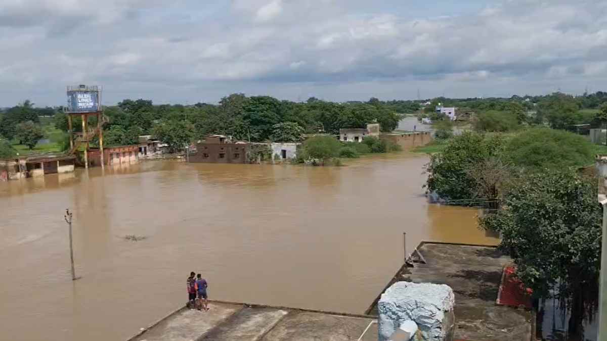 रायपुर में बाढ़ का कहर : कई परिवार बाढ़ में फंसे, रेस्क्यू के लिए उतारे नाव खराब, मदद के लिए गुहार लगा रहे लोग