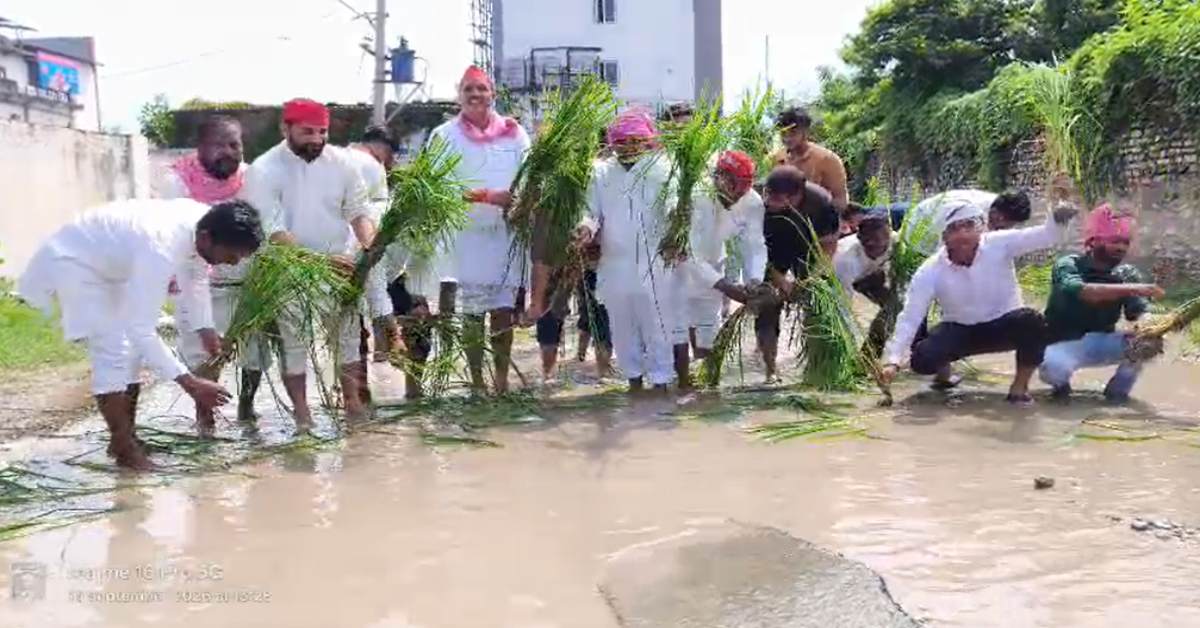 सड़क पर खेती! गड्ढों और जलभराव पर सपा का अनोखा विरोध, प्रशासन को 7 दिन की मोहलत