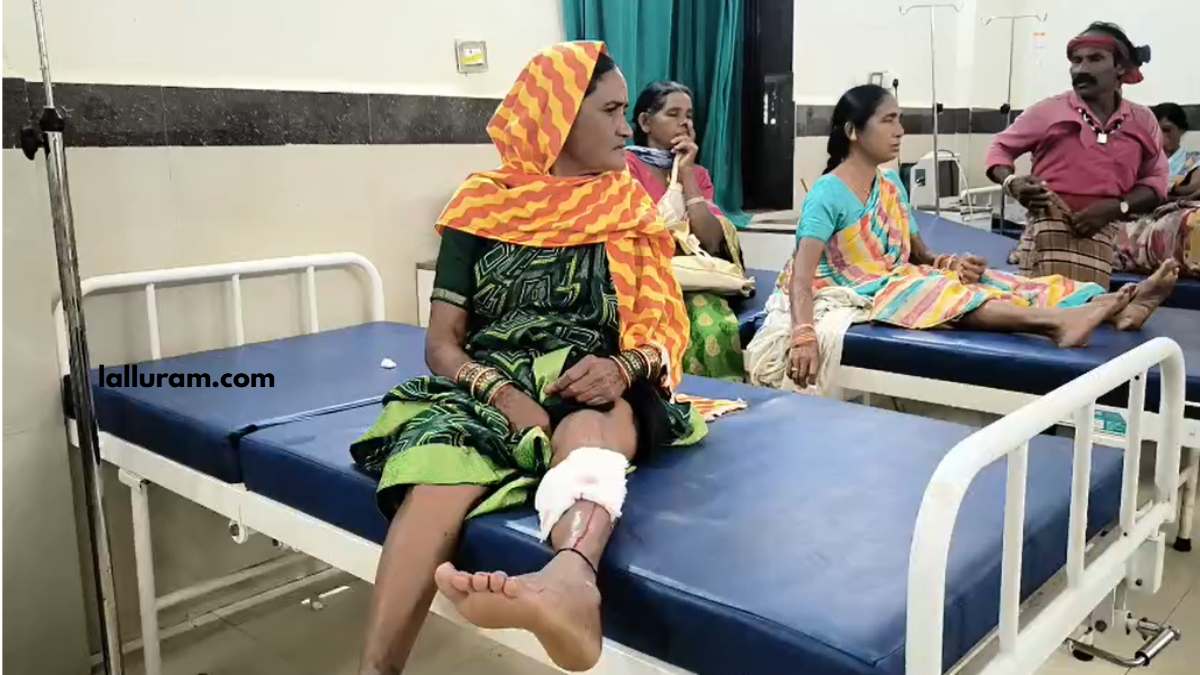 CG News : आवारा कुत्ते ने 13 लोगों को काटा, तीन की हालत गंभीर, नगर में डर का माहौल