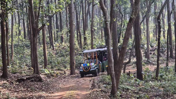 Jharkhand Jungle Safari: 1 अक्टूबर से शुरू होगी जंगल सफारी, बैटरी वाहनों से जंगल घूमने का मिलेगा नया अनुभव