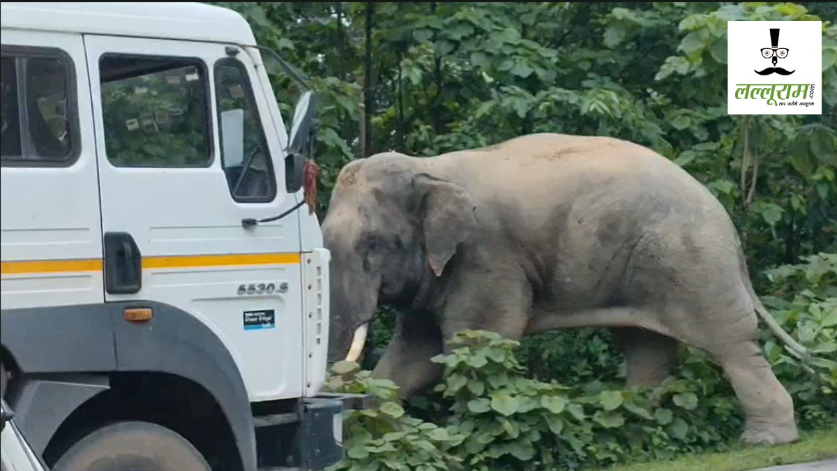NH-130 में दंतैल हाथी ने मचाया उत्पात : वाहनों को दौड़ाया, एक घंटे तक लगा रहा जाम