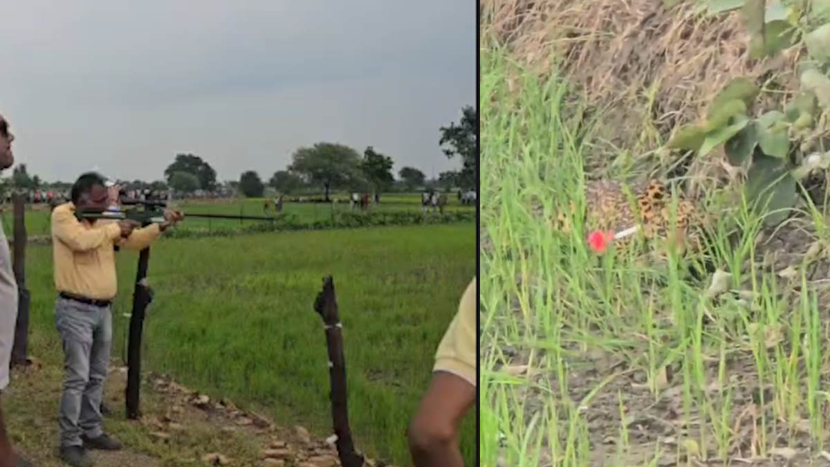 ग्रामीणों में दहशत फैलाने वाले तेंदुए का वन विभाग की टीम ने किया सुरक्षित रेस्क्यू, ले गए भोरमदेव अभयारण्य