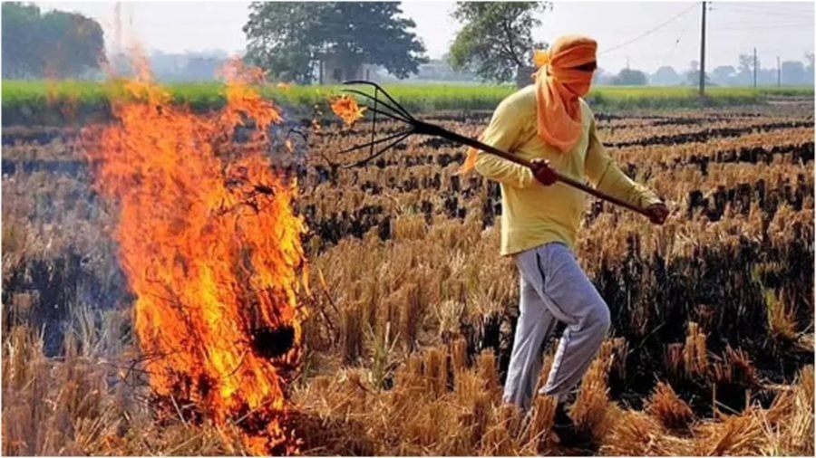 पराली जलाने पर अब कसेगा शिकंजा, खेत 15 महीने तक रहेगा ‘रेड कैटेगरी’ में; जानें नया नियम और जुर्माना