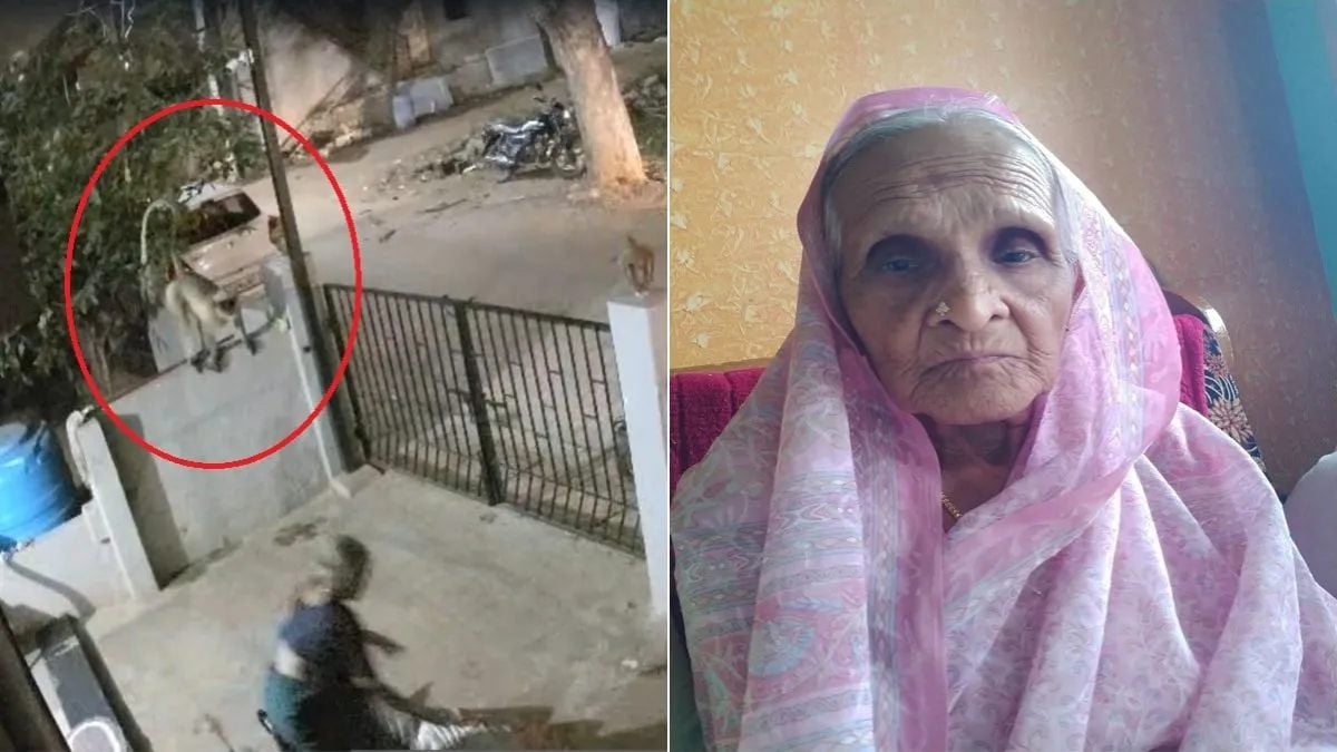 कर्नाटक : बंदर के धक्के से 91 वर्षीय बुजुर्ग महिला की मौत, CCTV में कैद हुई पूरी घटना