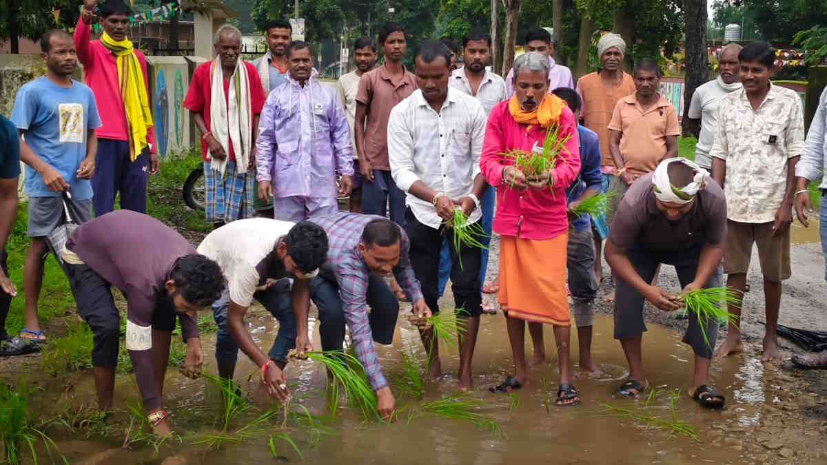 अनोखा प्रदर्शन! 3 साल में बनी 68 लाख की सड़क सालभर में हुई जर्जर, गड्ढों में धान के साथ बेशरम के पौधे रोपकर ग्रामीणों ने जताया आक्रोश…