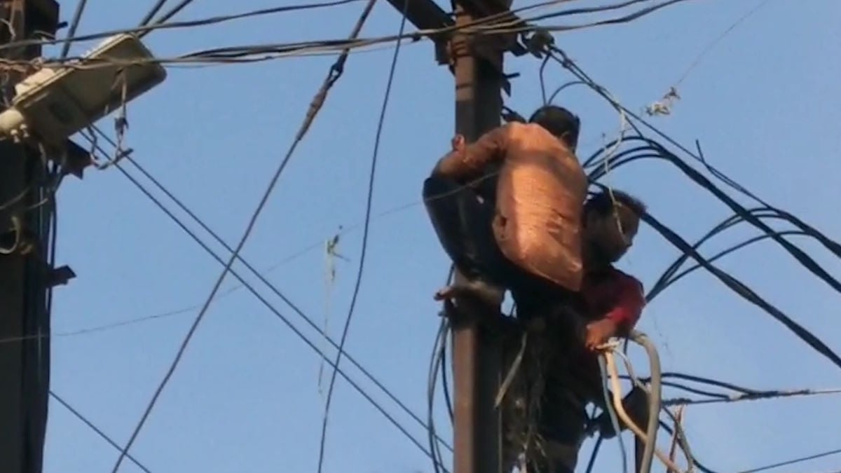 शराबी युवक का बिजली पोल पर हाई वोल्टेज ड्रामा, चौक पर लगा गया लोगों का हुजूम, देखिए वीडियो…