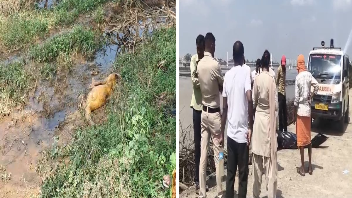 एनीकेट में फंसे मिले दो शव: बाढ़ के पानी में बहकर आने की आशंका, जांच में जुटी पुलिस