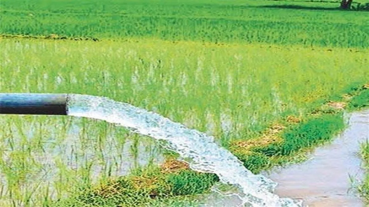 किसानों को बड़ी सौगात: सात सिंचाई योजनाओं के लिए 30.74 करोड़ स्वीकृत, नहरों के जीर्णाेद्धार सहित होंगे कई महत्वपूर्ण काम