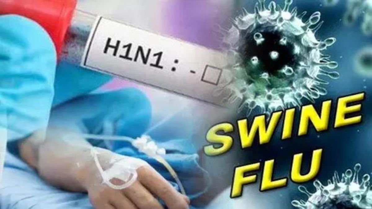 Swine Flu in Chhattisgarh: प्रदेश में आज मिले स्वाइन फ्लू के 46 नए मरीज, रायपुर में सबसे ज्यादा केस, जानिए जिलेवार आंकड़े