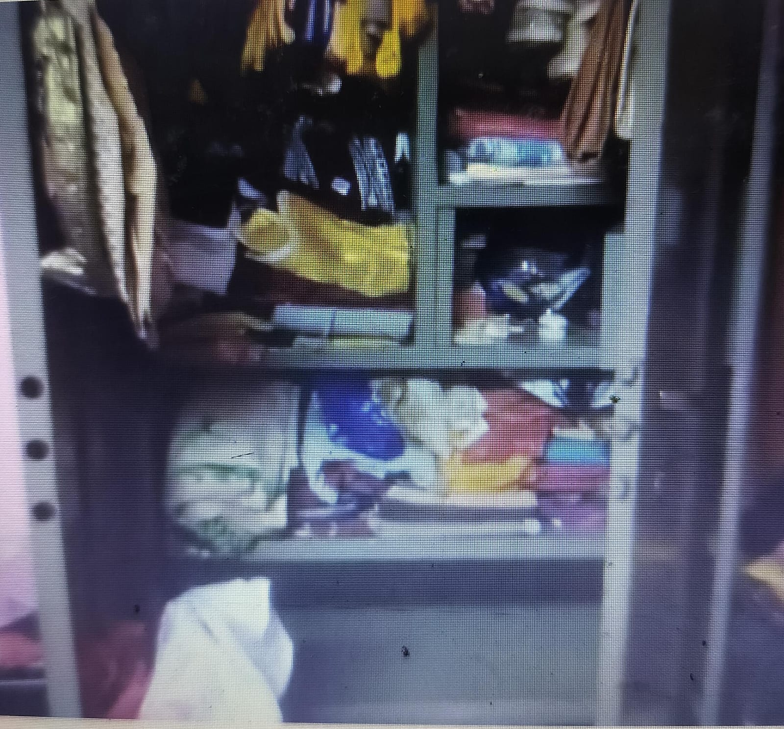 Jamshedpur Crime: दिनदहाड़े टाटा स्टील कर्मी के बंद क्वार्टर में बड़ी चोरी, 50 लाख के जेवर और नकदी ले उड़े चोर