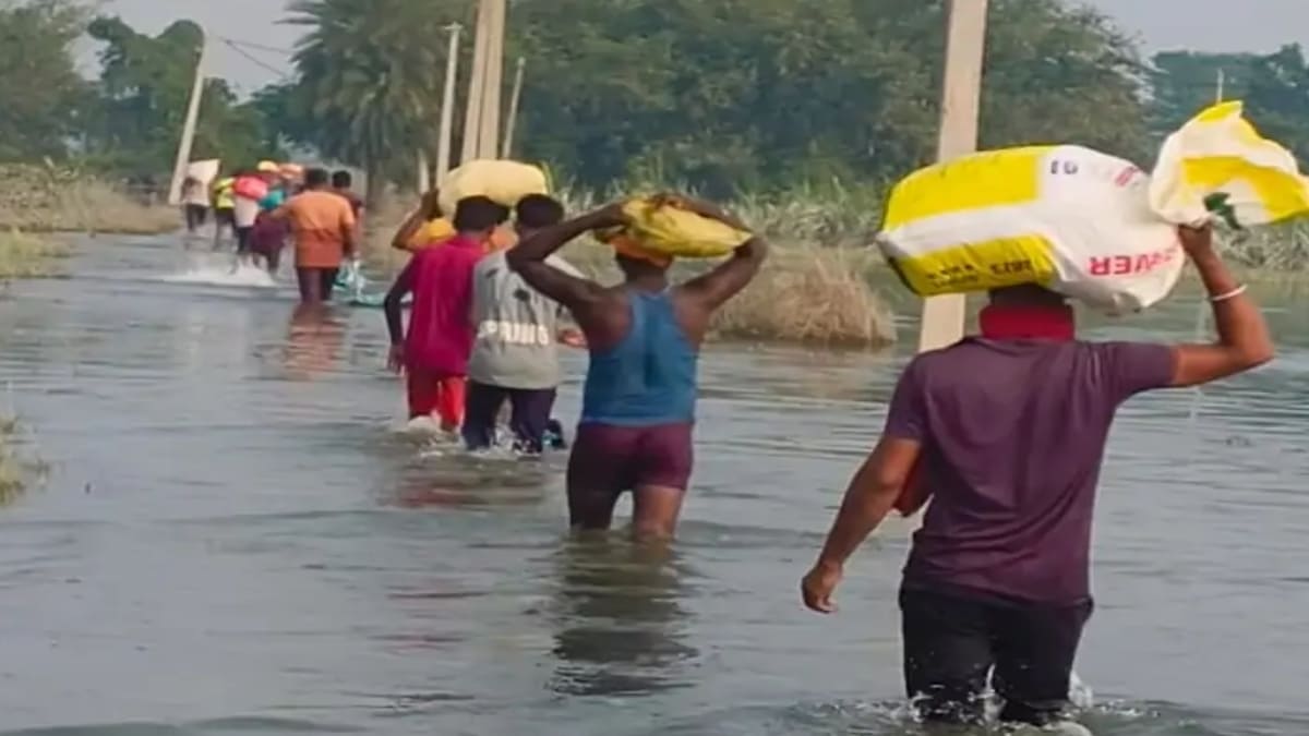 बाढ़ का पानी उतरा, पर तबाही का खौफ बाकी, गोपालगंज में उजड़े आशियानों को दोबारा खड़ा करने की जंग शुरू