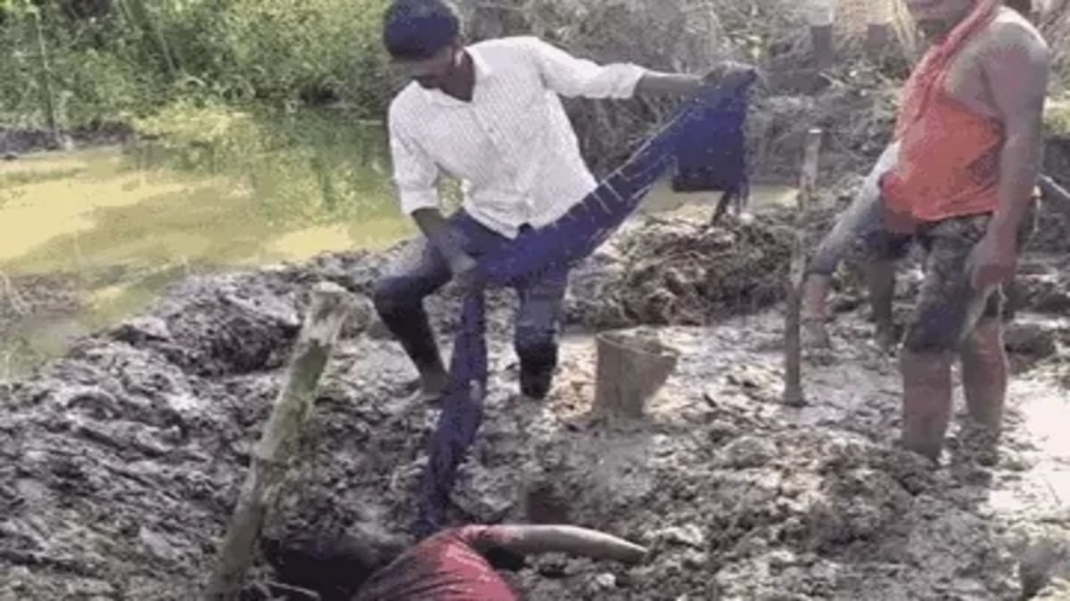 बेटी की अर्थी उठा चुपचाप दफनाया, ऊपर लगाया आम का पौधा, डेढ़ महीने बाद खुला राज!