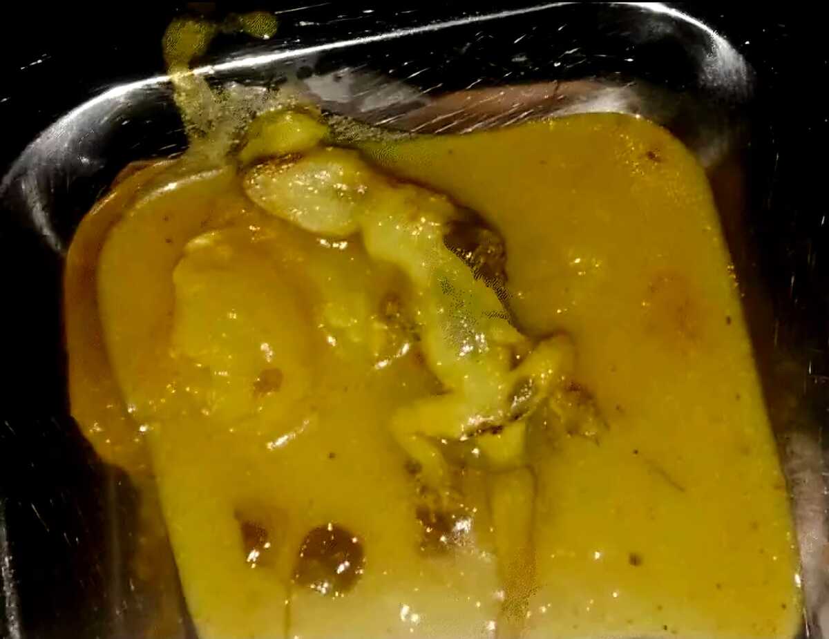 छात्रों को खिलाया छिपकली वाला खाना: 13 बच्चे अस्पताल में भर्ती, श्रमोदय आवासीय विद्यालय पर उठे सवाल