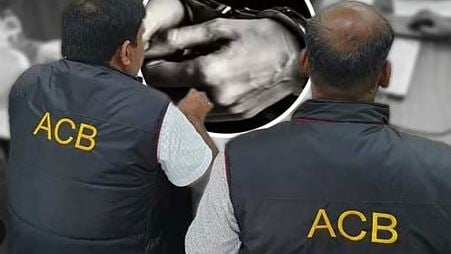 हरियाणा में भ्रष्टाचार पर ACB का बड़ा एक्शन, 10 साल का रिकॉर्ड टूटा; 171 ट्रैप केस दर्ज, जानिए किस विभाग के कितने अधिकारी फंसे
